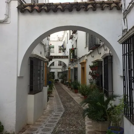 Apartman Lujosa Vivienda En Plena Juderia *